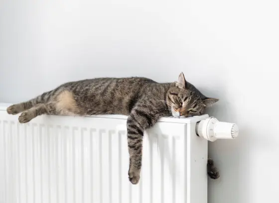 How Much Does It Cost to Replace a Radiator?