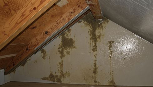 Roof leak damage and mold inside attic before roof replacement